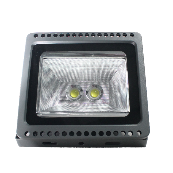 Floodlight/Security Light 100 Watts COB