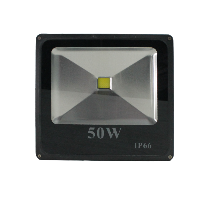 Floodlight/Security Light 50 Watts